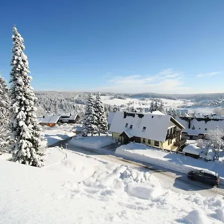 Large Luxurious With Stunning Views Schoenwald im Schwarzwald