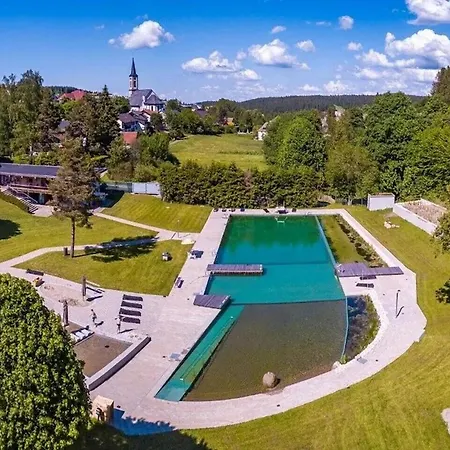 Large Luxurious With Stunning Views * Schoenwald im Schwarzwald