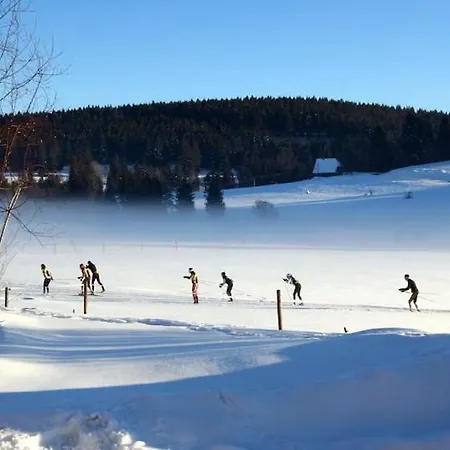 Apartment Large Luxurious With Stunning Views Schoenwald im Schwarzwald